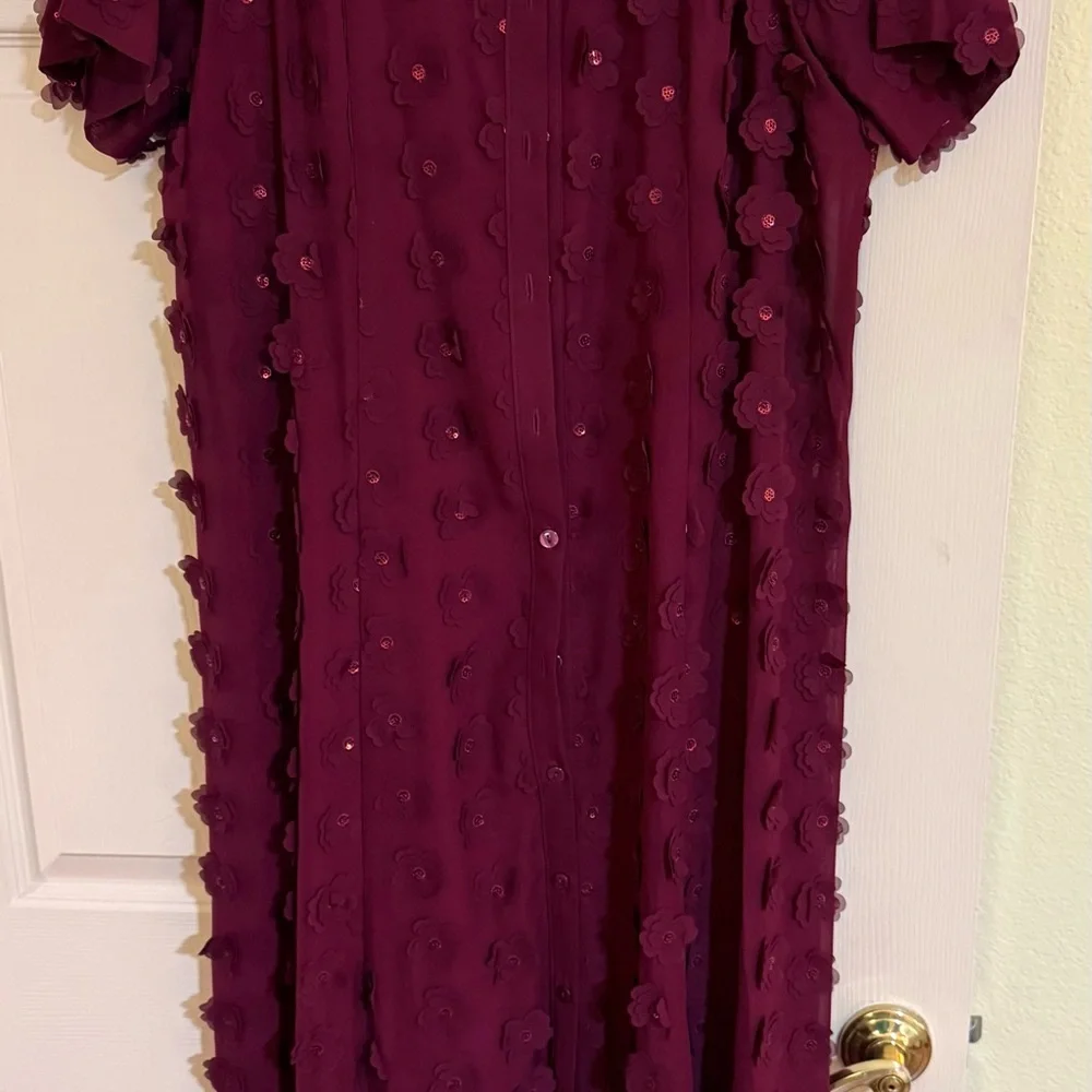 Anthropologie (Porridge) Deep Red Textured Long Sleeve Dress. Only worn once. - Picture 2 of 7
